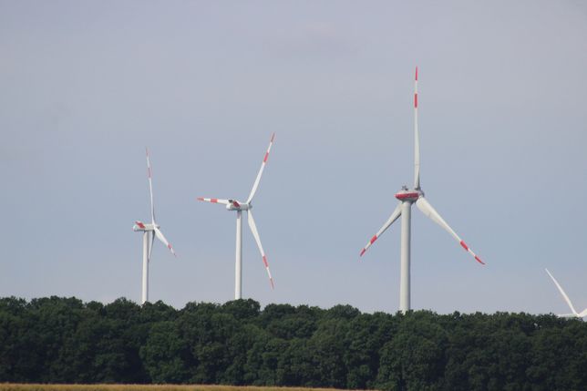 Der Kreisausschuss des Rhein-Hunsrück-Kreises lehnt die Ausweisung zahlreicher zusätzlicher Windkraftenergiegebiete im Landkreis durch die Regionalplanung ab.