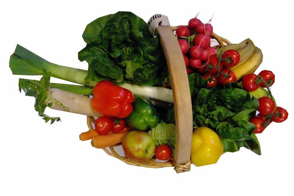 Viel Obst und Gemüse essen! Gesunde Ernährung kann vielen Krankheiten vorbeugen. Foto: Fischer