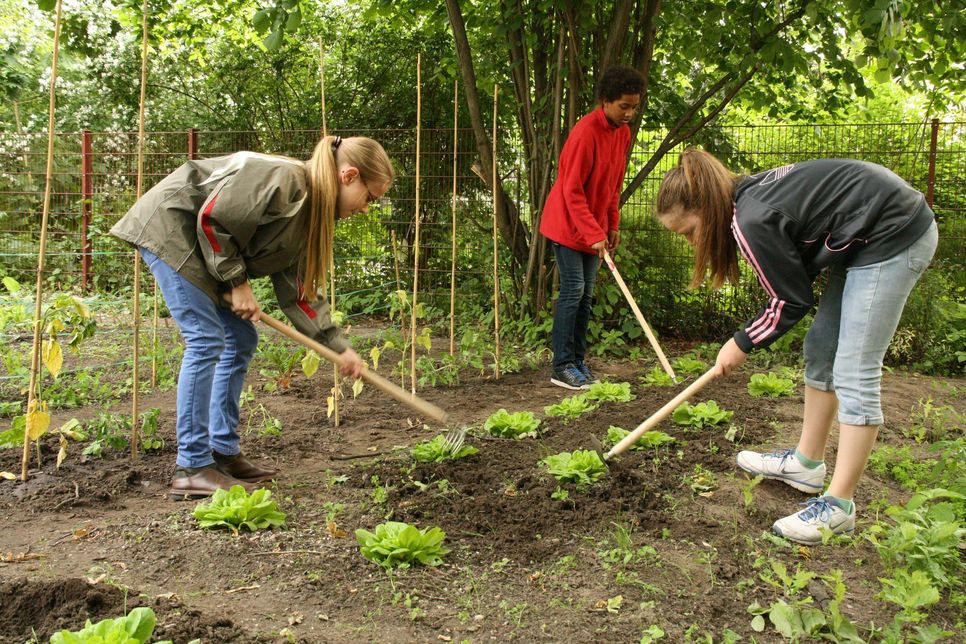 So wie hier harken auch die Jugendlichen der Sekundarschule Nordeifel in ihrem eigenen Garten. Das Projekt »GemüseAckerdemie« wird vom Nordeifeler Businessrun unterstützt. Foto: Ackerdemia e.V.