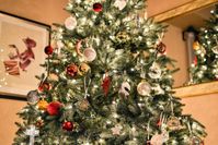 In so gut wie jedem deutschen Wohnzimmer findet er zu Weihnachten einen Ehrenplatz: Der Weihnachtsbaum ist ein Muss für die besinnlichste Zeit des Jahres.