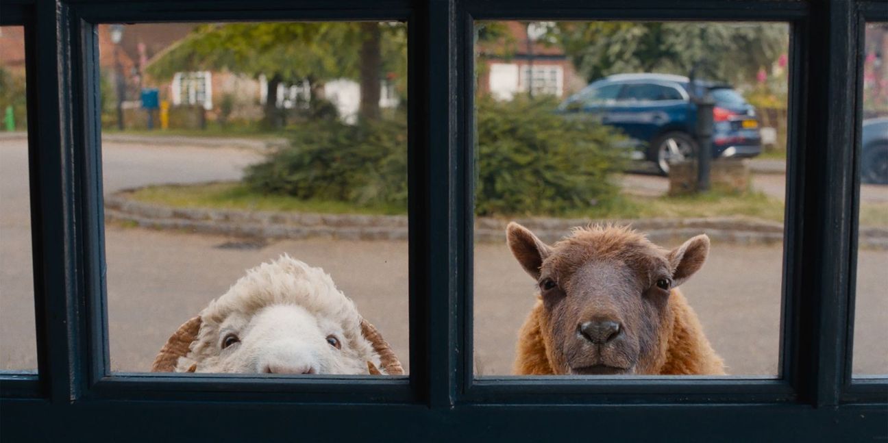 Die tierischen Ermittler kommen ins Open-Air-Kino.