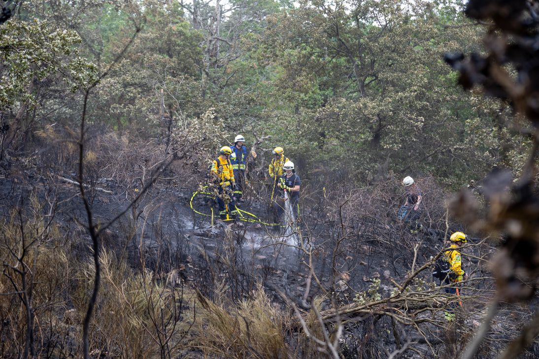 Brand am Rotenfels