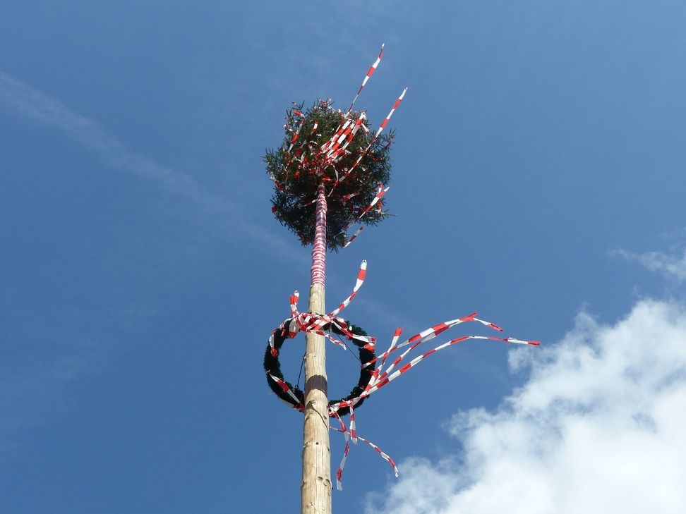 Maibaum mit Bändern
