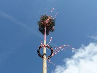 Maibaum mit Bändern