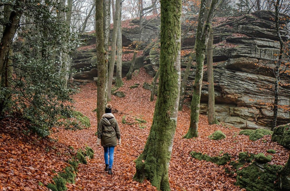 Wandern an der frischen Luft