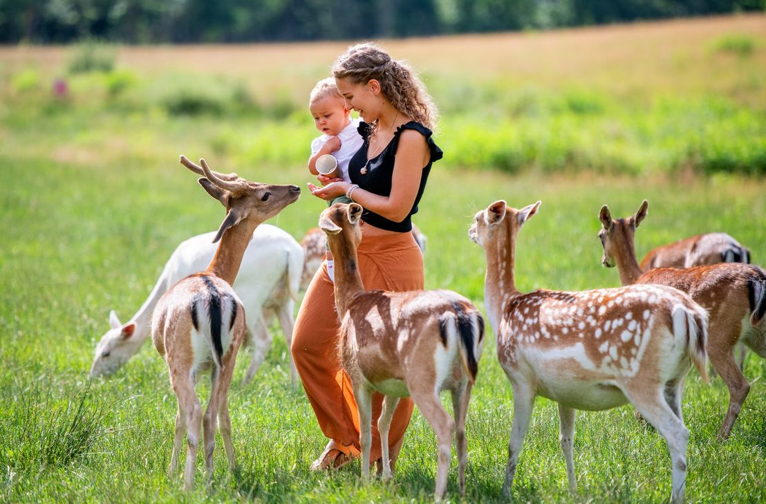 Die erste Tierpark-Kita in der Region soll kommen, wenn Eltern sie wollen.