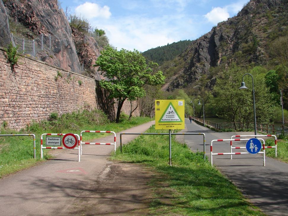 Trotz aller Bemühungen kommt es jedes Jahr zu zahlreichen überfahrenen Tieren. „Mit etwas Rücksicht und Verständnis können alle dazu beitragen, das besondere Naturerbe direkt vor unserer Haustür zu bewahren“, appelliert die Stadt Bad Kreuznach.