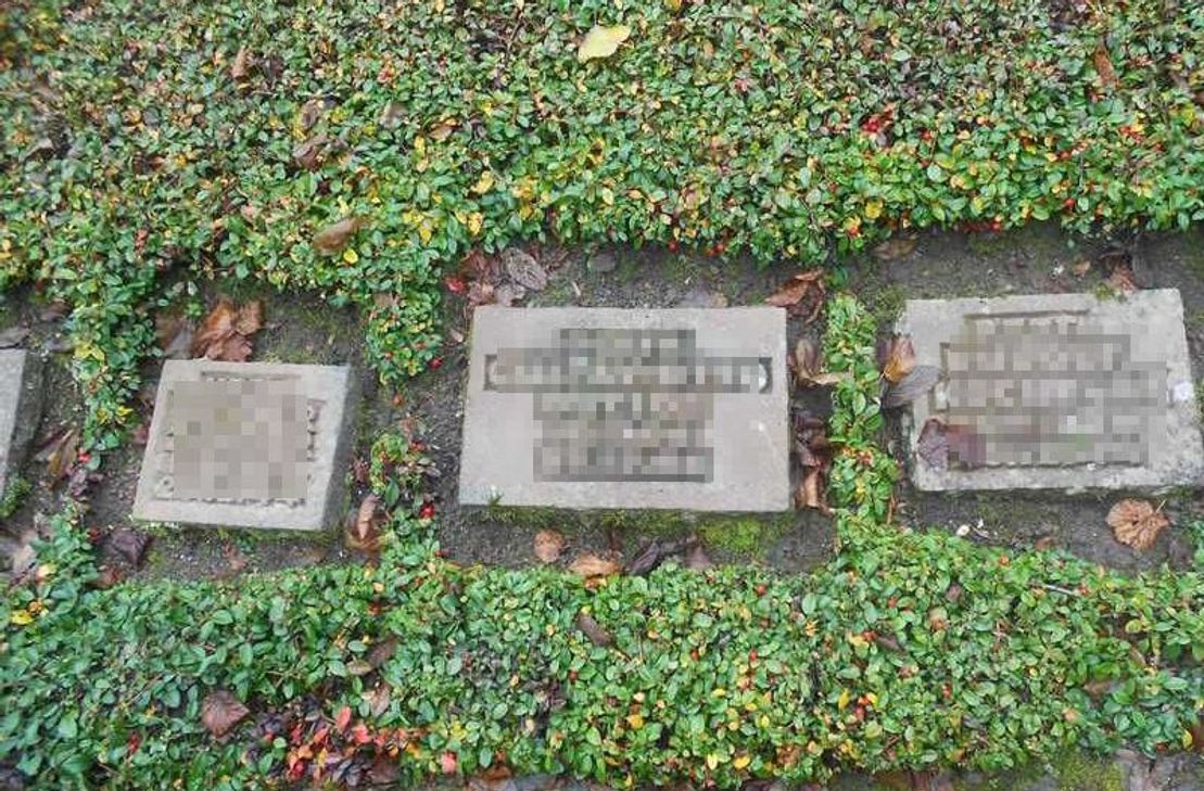 Vergleichsbild der Grabtafeln: Bislang unbekannte Täter entwendeten 47 Grabtafeln am Daleidener Ehrenfriedhof.