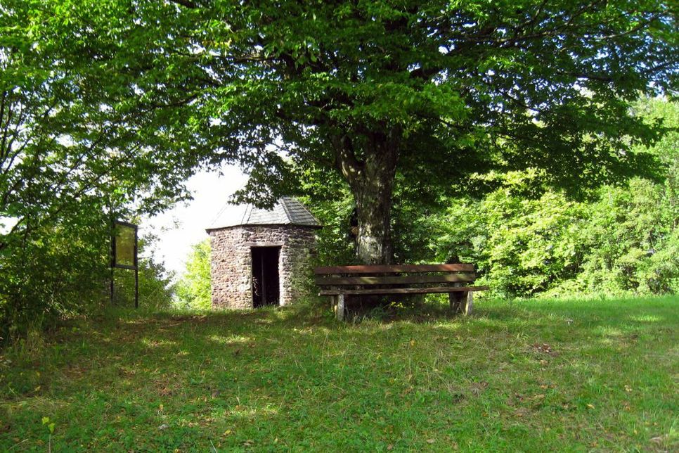 Die Schutzhütte an der Falkenley.