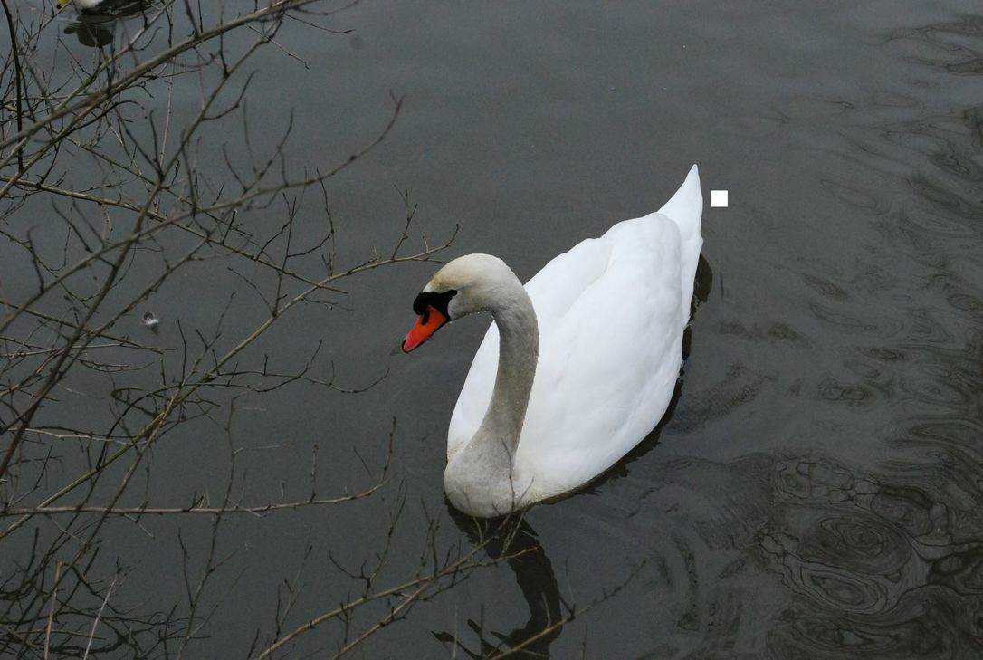 Foto: Symbolbild/Archiv