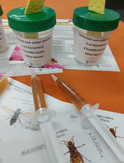 Die Locktöpfe und Lockmittel.