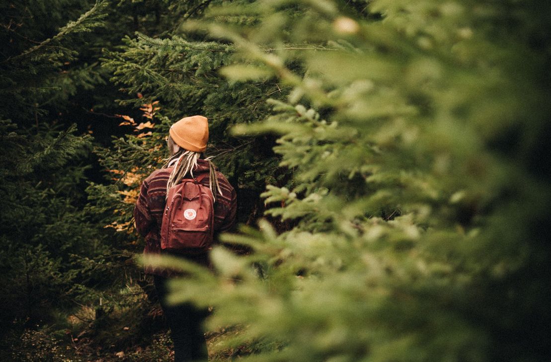 Kraft tanken - Ruhe finden - achtsam sein: Waldbaden führt Menschen zurück zur inneren Balance.