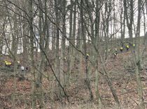 Polizeikräfte durchsuchen das Waldgebiet nahe Monreal nach dem Kopf der in der Nähe aufgefundenen Frauenleiche.