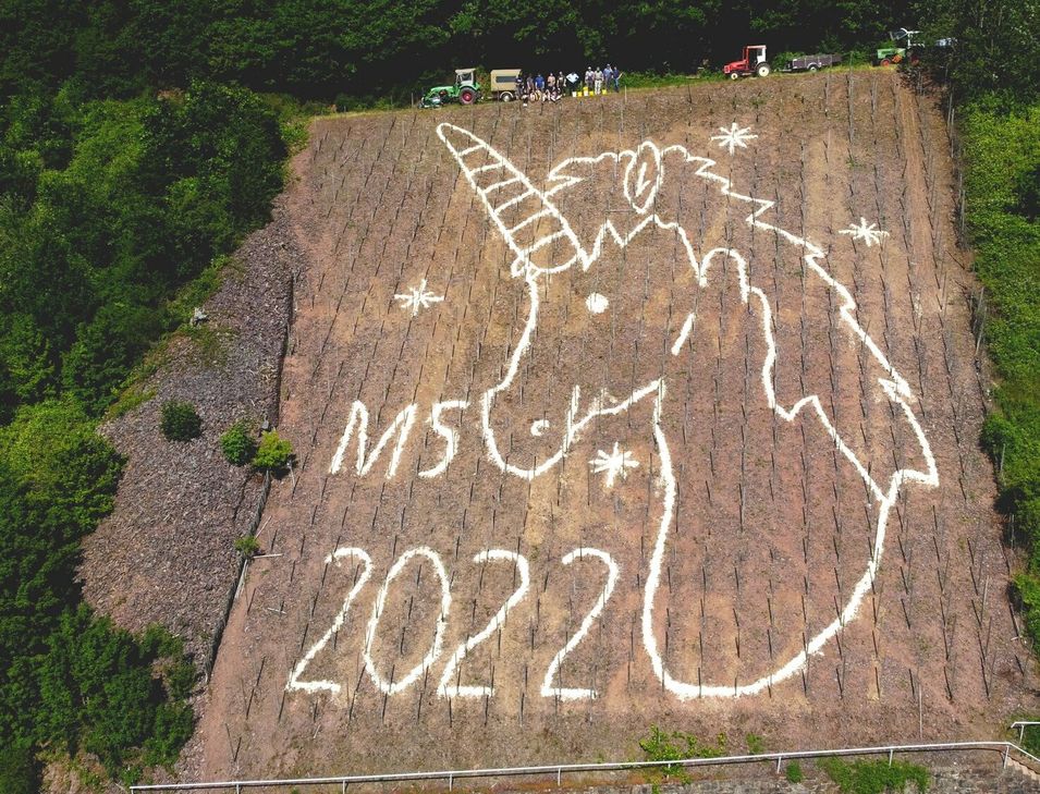 Das Weinbergsbild der MS-Selbsthilfegruppe Cochem-Zell soll magische Kraft verströmen.