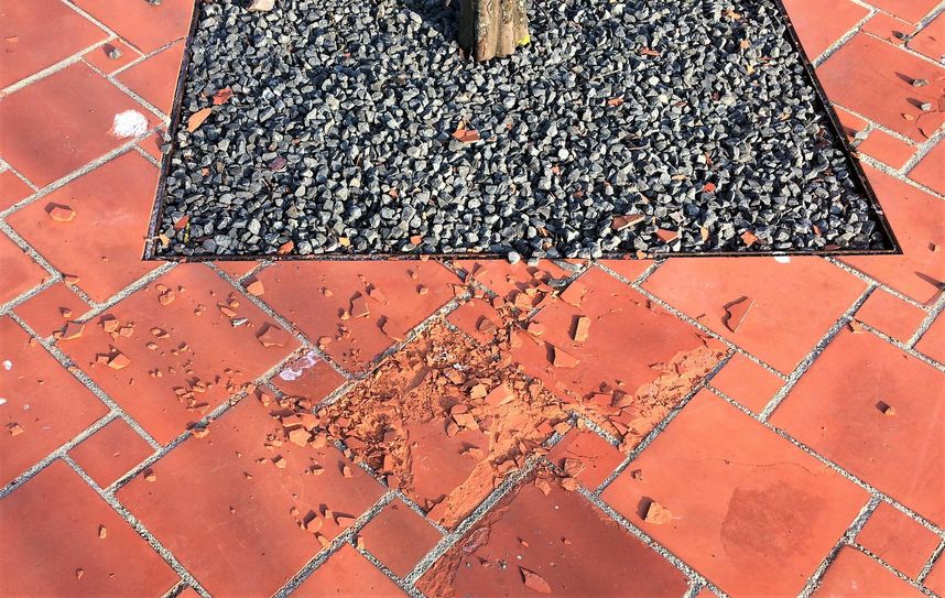 Rund ein Viertel der Fliesen im Xiamen-Garten sind beschädigt.