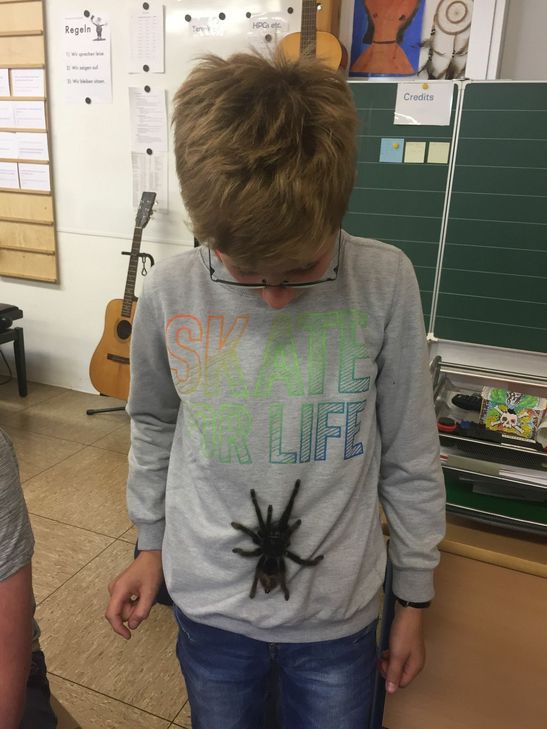 Vielen Kindern wurde die Angst vor den Krabbeltieren genommen. Fotos: Privat