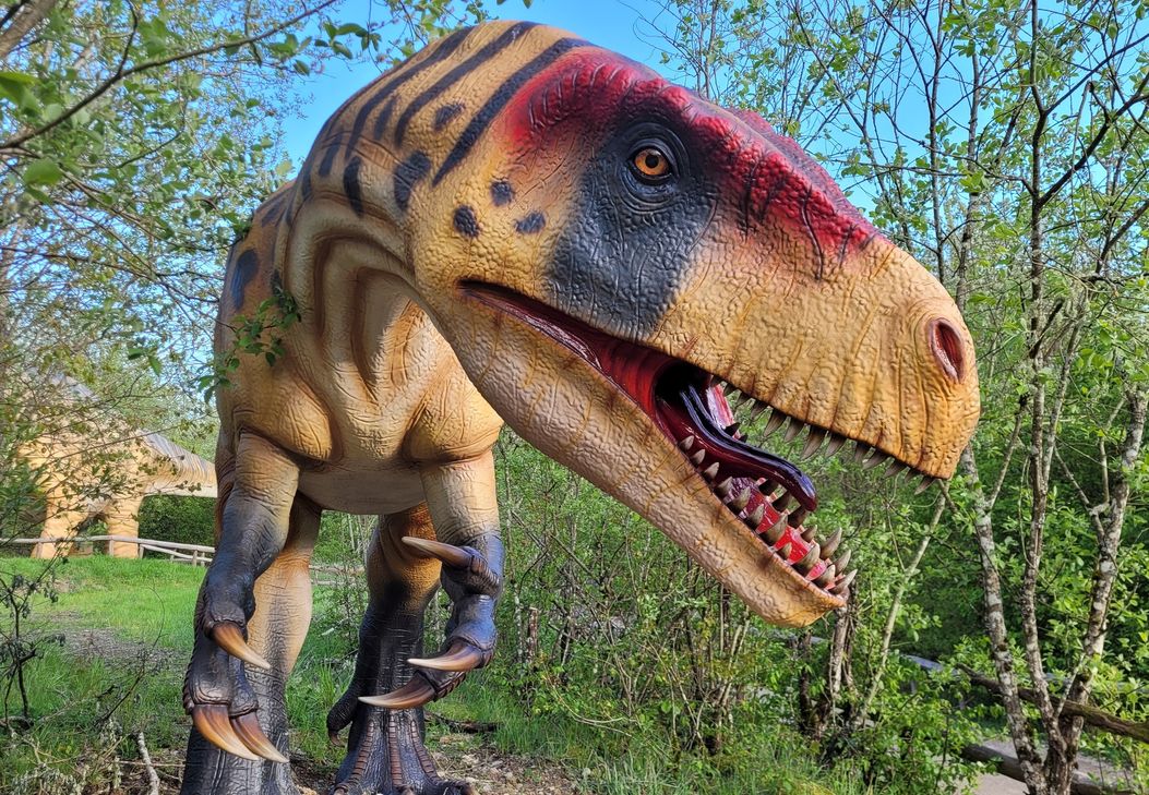 Lebensgroßes Modell des Raubsauriers Torvosaurus gurneyi im Dinosaurierpark Teufelsschlucht