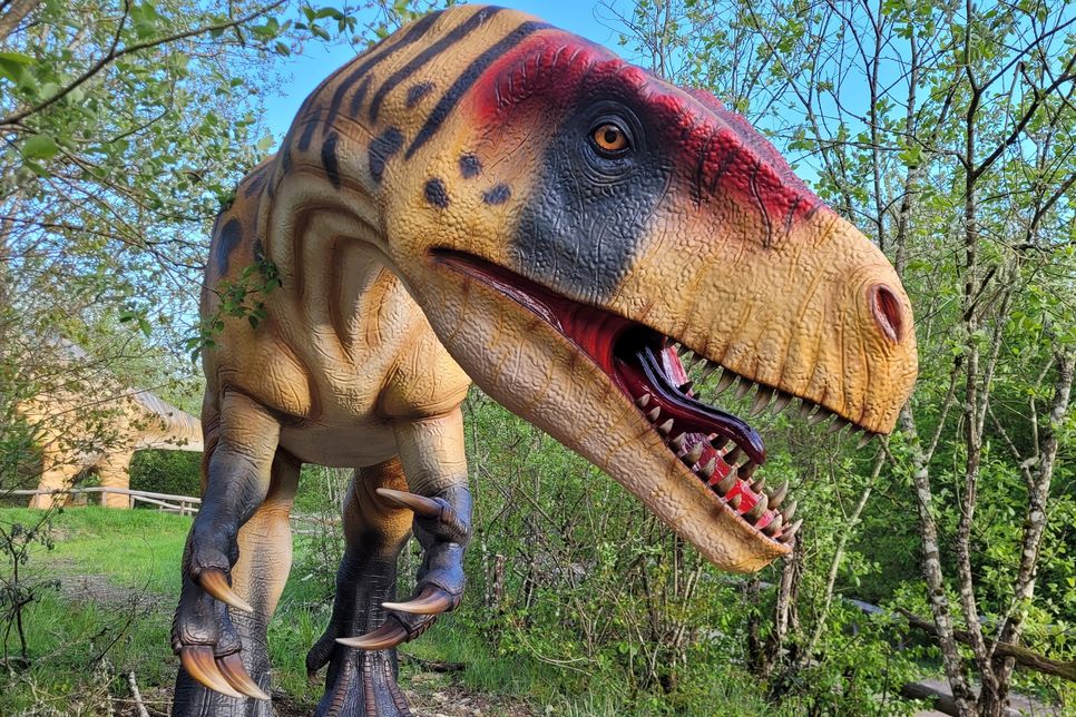 Lebensgroßes Modell des Raubsauriers Torvosaurus gurneyi im Dinosaurierpark Teufelsschlucht