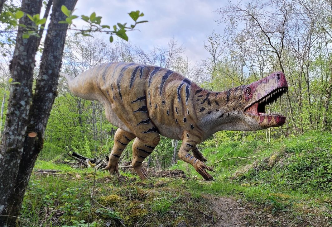 Rekonstruktion des Raubsauriers Wiehenvenator salerii im Dinosaurierpark Teufelsschlucht