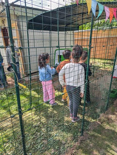 Erstes Kennenlernen der Kinder und der Hühner.
