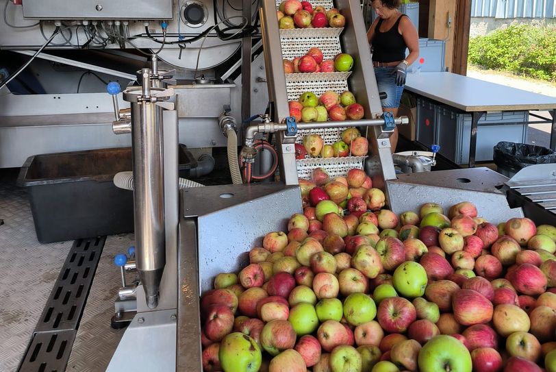 Aus eigenem Obst wird frischer Saft.
