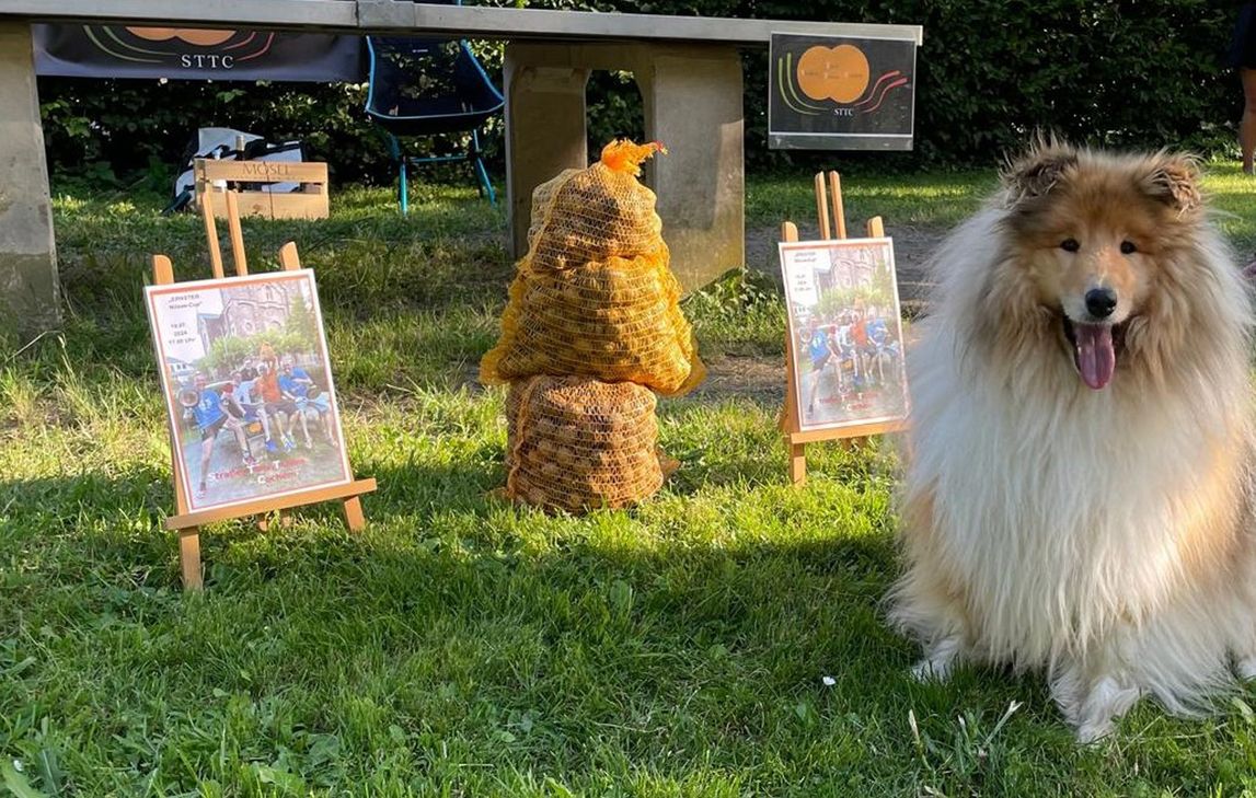 Hund Bello war mit leichter Verspätung auch dabei beim Ernster Nüsse-Cup.