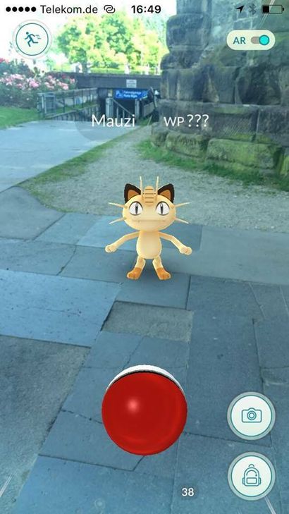 Mauzi vor der Porta Nigra: Foto: Pees