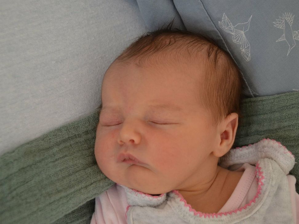 Amalia Luise Manheller