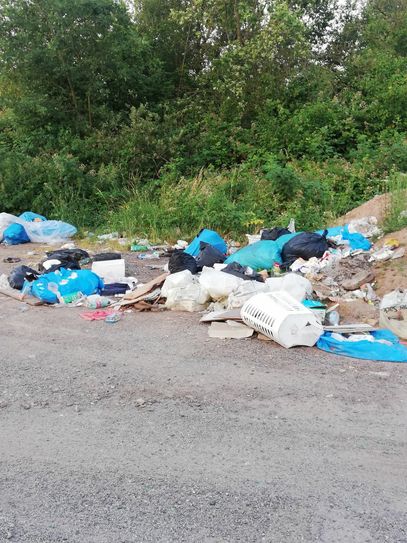 Umweltsünder haben im Mäusheckerweg jede Menge Müll entsorgt. Foto: Eberhardt