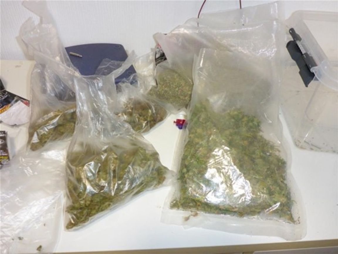 Unter anderem stellte die Polizei Marihuana sicher.