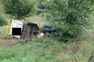Dr Viehanhänger blieb auf der Seite liegen und begrub die Kuh unter sich. Foto: PI Prüm