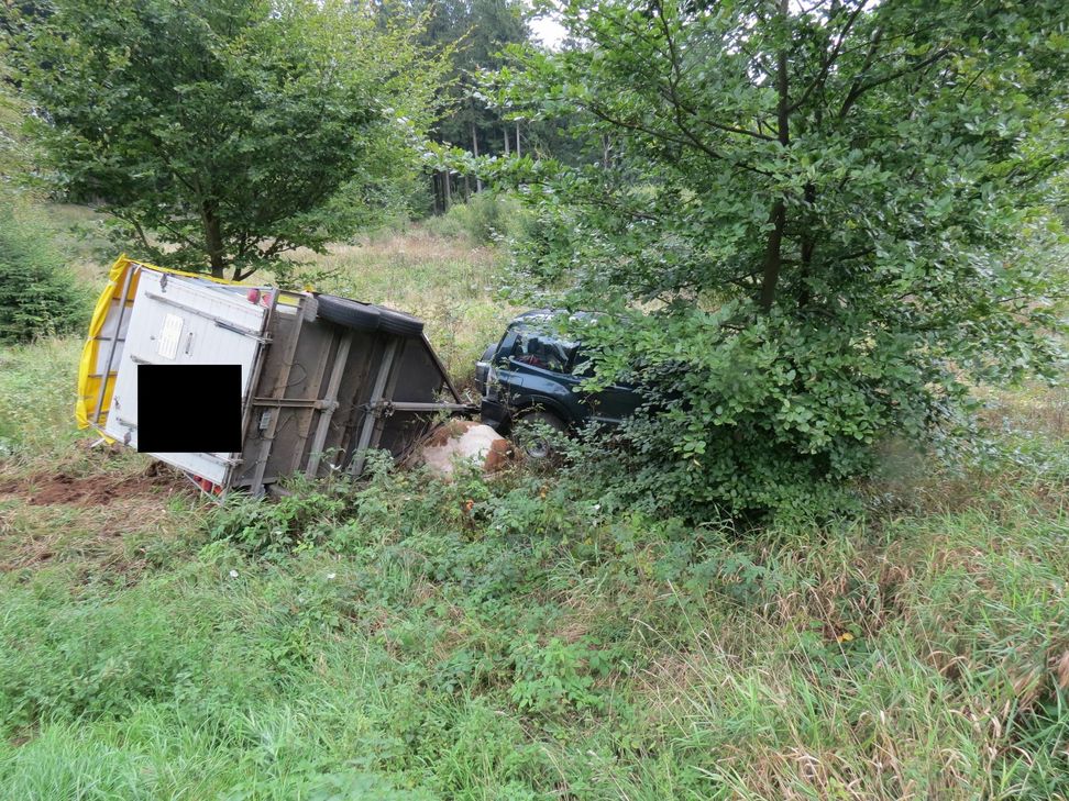 Dr Viehanhänger blieb auf der Seite liegen und begrub die Kuh unter sich. Foto: PI Prüm