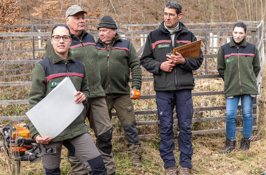 Das Team vom Forstamt Boppard hatte die Setzlinge mitgebracht und hielt viele Informationen zum Baum des Jahres, der Roteiche, bereit.