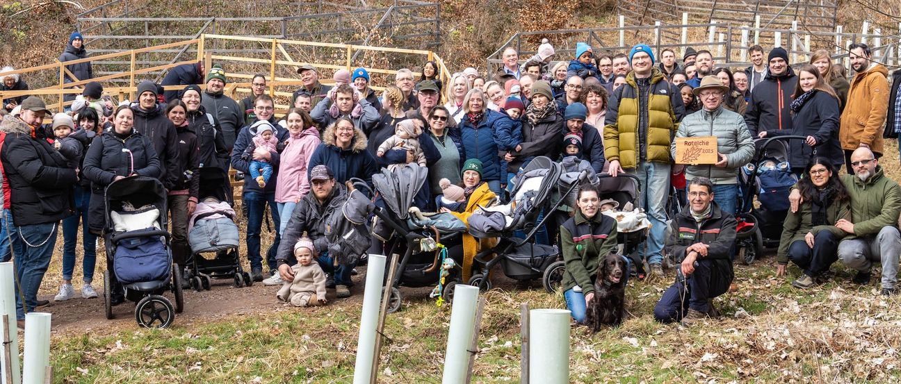 Mit einer großen Gruppe wurden im Bopparder Hochzeits- und Kinderwald wieder Bäume gepflanzt für im Jahr 2024 geschlossene Ehen und geborene Kinder. Die Aktion wird organisiert von Stadt und Forstamt Boppard.