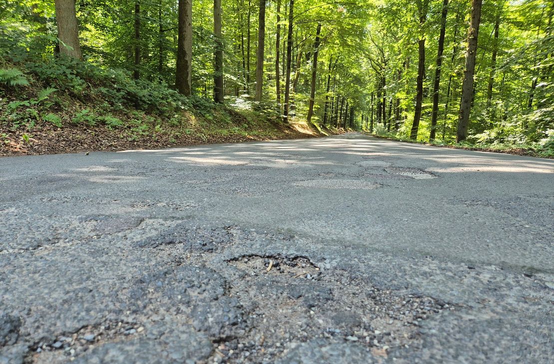Viele Menschen haben bereits im Bürgerhaushalt 2024 die Straße thematisiert.