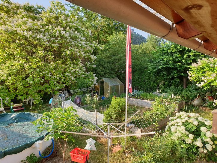 Gegenbeispiel zu Stein-und Graswüsten