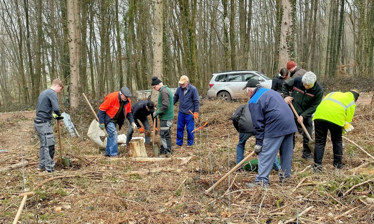 Bürger pflanzen vielfältige Laubhölzer an der Obermosel.