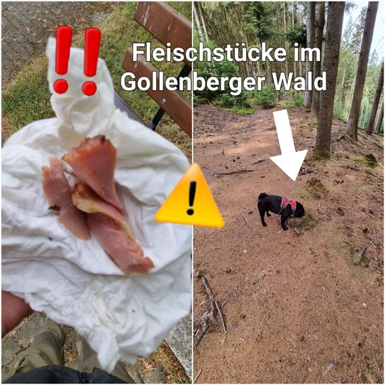Warnung für Hundehalter!