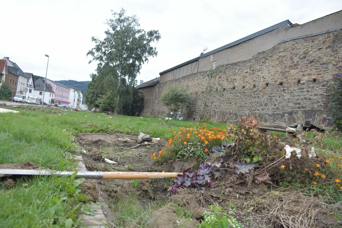 An der Stadtmauer soll nicht nur diese Blume, sondern auch die Geschäftswelt vorläufig aufblühen. Foto: Mager