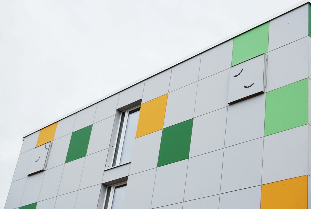 Fleidermausquartier. Foto: FF