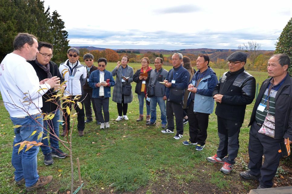Thomas Pitsch aus Kail (links) bewirtschaftet 180 Weinbergpfirsich-Bäume. Vergangenen Montag wurde er von einer 15-köpfigen Gruppe von Studenten und Landwirten aus Südkorea besucht. Sie interessierten sich für die Besonderheiten des Anbaus der roten Früchte.