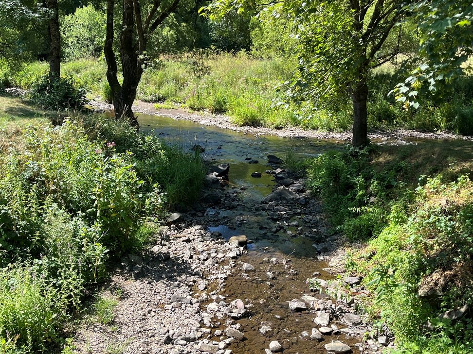 Erheblich sanken die Wasserstände auch in Kronweiler, wo der Schwollbach in die Nahe mündet. Daher weist die untere Wasserbehörde darauf hin, dass
Wasserentnahmen aus Gewässern zu unterlassen sind.