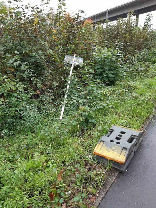 Foto: Guido Eberhardt