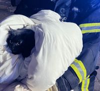 Ein Katze konnte aus dem brennenden Haus gerettet werden.