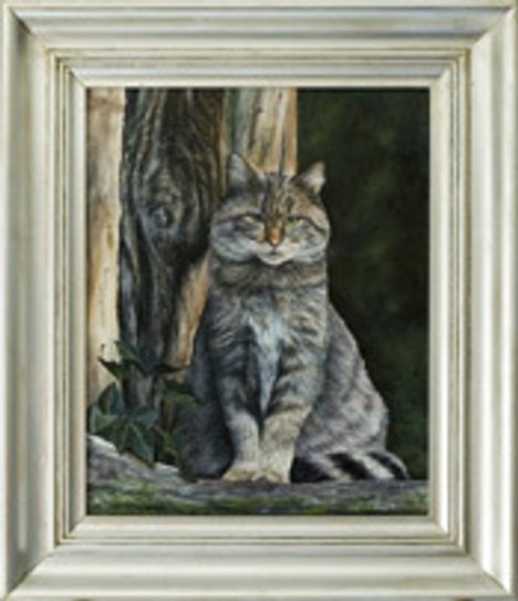 2017 hat der Maler aus Steckenborn zum zweiten Mal an der MoVo in Halberstadt (Ausstellung »Moderne Vogelbilder«) teilgenommen. Zu dieser renommierten Ausstellung bewerben sich Künstler aus ganz  Deutschland und ein Team aus Ornithologen und Kunstexperten wählt davon die 50 besten Maler aus. Bei den meisten Teilnehmern handelt es sich um Profimaler, die ihre Werke europa- aber auch weltweit präsentieren.