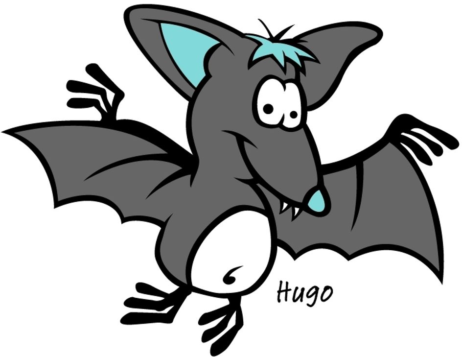 Fledermaus Hugo. Foto: FF