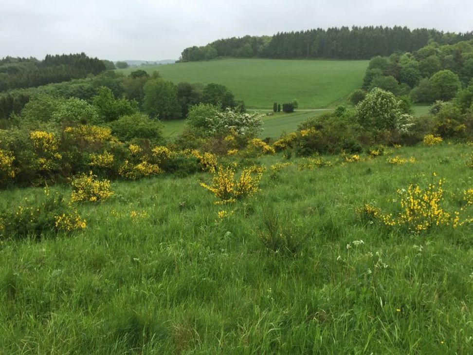 Besonders das letzte Drittel der Etappe verwöhnt mit herrlichen Aussichten. Fotos: NATUR AKTIV ERLEBEN
