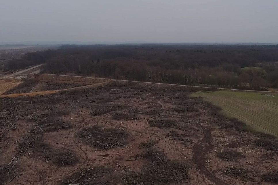 Ein Bild aus dem Drohnenvideo von Andreas Magdanz, das im Vordergrund den frisch gerodeten Wald am Hambacher Forst zeigt und im Hintergrund den Blick auf intakte Waldstücke freigibt. Seine Arbeiten sind bis Mitte Dezember im KuK zu sehen.