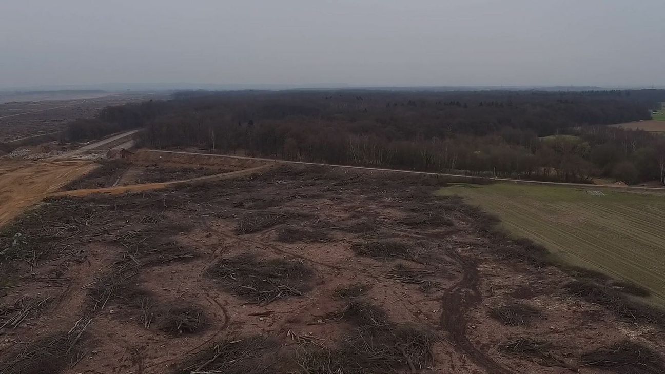 Ein Bild aus dem Drohnenvideo von Andreas Magdanz, das im Vordergrund den frisch gerodeten Wald am Hambacher Forst zeigt und im Hintergrund den Blick auf intakte Waldstücke freigibt. Seine Arbeiten sind bis Mitte Dezember im KuK zu sehen.