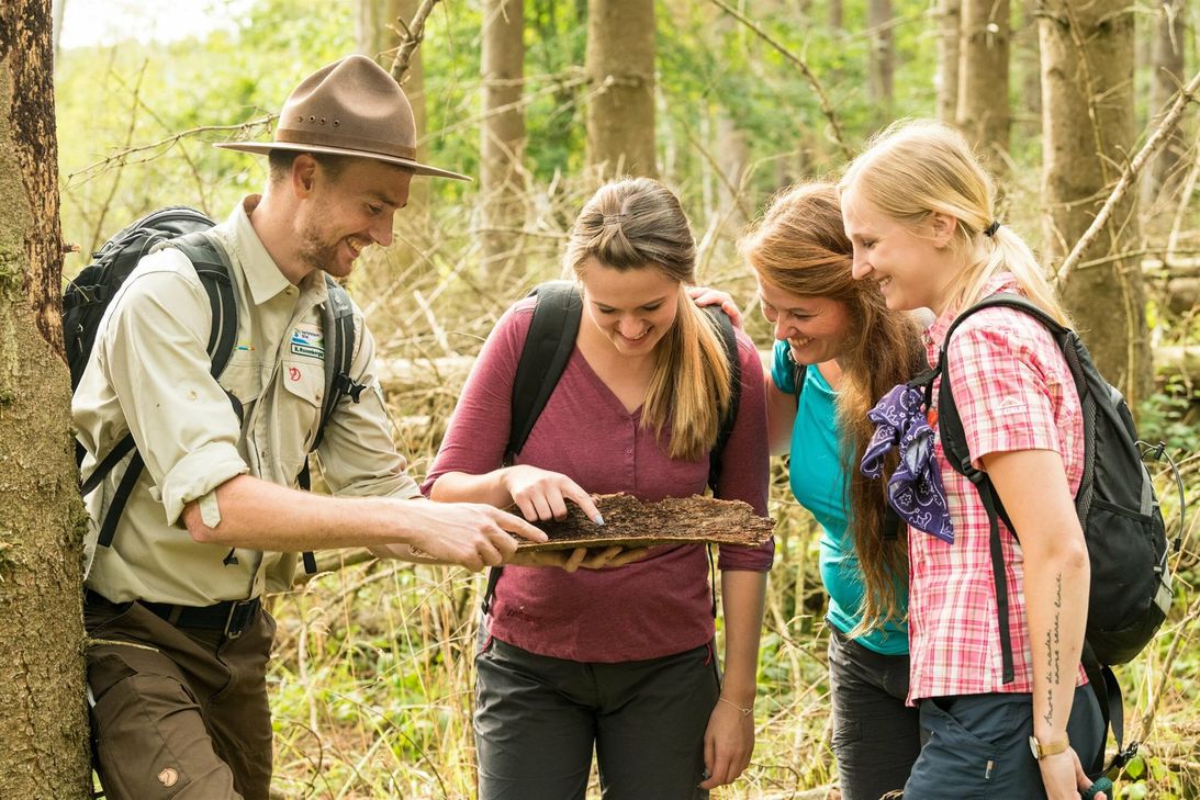 Entlang von Bachtälern und blühenden Wiesen verläuft die Rangertour Wahlerscheid im Süden des Nationalparks. Die Tour startet in den nächsten Wochen vom Parkplatz Rothe Kreuz. Foto: Weisgerber